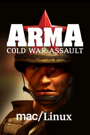 Arma: Cold War Assault Ремастер PC Steam Ключ