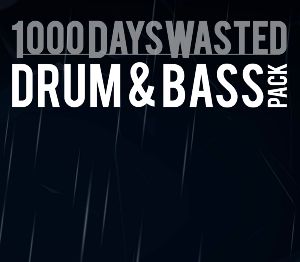 Aaero - 1000DaysWasted - Drum & Bass Pack DLC Steam Ключ