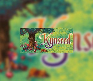 Kynseed PC Steam Аккаунт