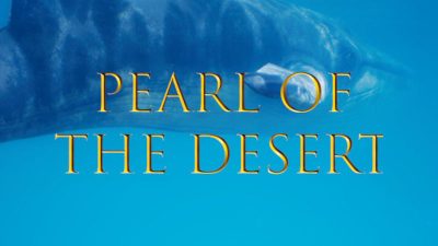 Pearl of the Desert PC Steam Ключ