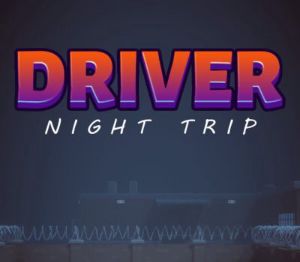 Driver Night Trip PC Steam Ключ