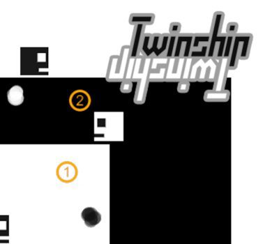 Twinship Steam Ключ