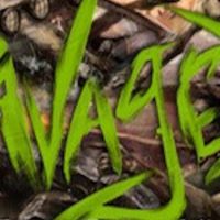 Ravaged Zombie Apocalypse Steam Подарок