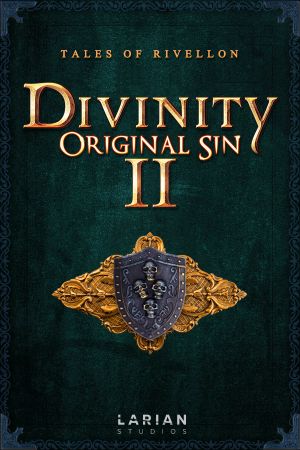 Divinity: Original Sin 2 - Divine издание GOG Ключ