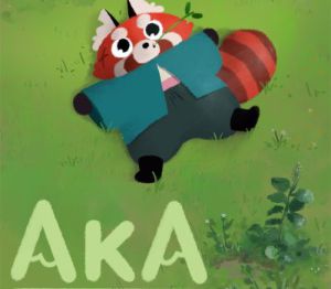 Aka PC Steam Ключ