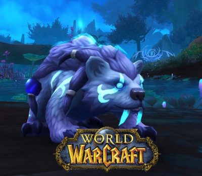 World of Warcraft - Lil' Ursoc Pet US PC Battle.net Ключ