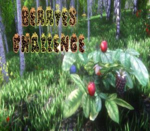 Berries Challenge Steam Ключ