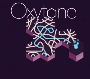 Oxytone PC Steam CD Key