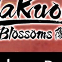 Hakuoki: Edo Blossoms - Deluxe Pack DLC Steam Ключ