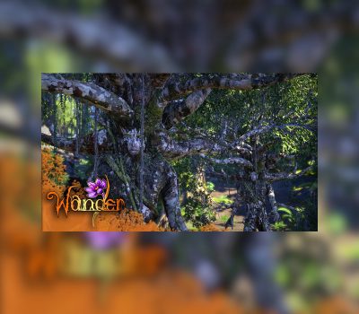 Wander Steam Подарок
