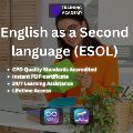 Online Training Academy — Other
