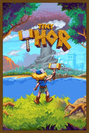 Tiny Thor Steam Ключ