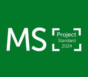 MS Project Standard 2024 Ключ