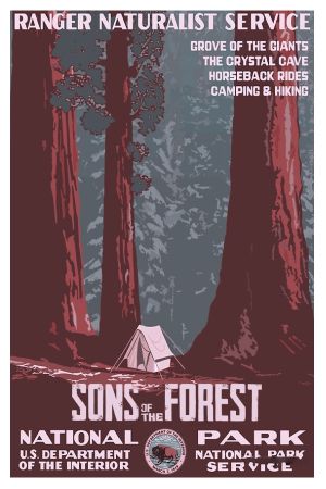 Sons Of The Forest Steam Аккаунт