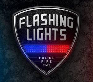 Flashing Lights - Police Fire EMS Steam Аккаунт