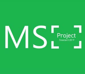 MS Project Standard 2019 Ключ