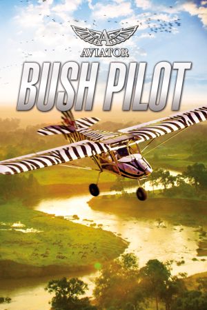 Aviator - Bush Pilot Steam Ключ