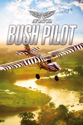 Aviator - Bush Pilot Steam Ключ