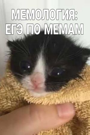 MEMOLOGY: GOYDA EU PC Steam Ключ