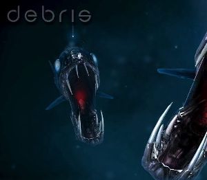 Debris EU PC Steam Альтергифт