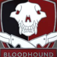 CS:GO - Series 2 - Bloodhound Collectible Pin