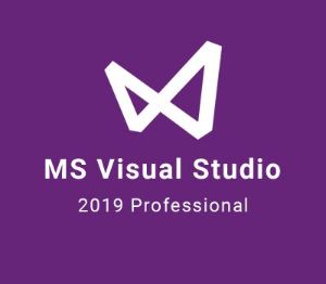 MS Visual Studio 2019 Professional EU Ключ