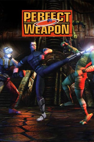 Perfect Weapon PC GOG CD Key