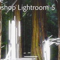 Adobe Lightroom v. 5.71 - 1TB Cloudstorage (1 Year / 1 PC) EU