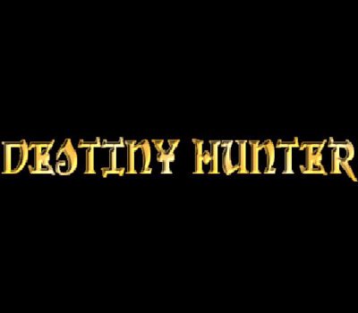 Destiny Hunter PC Steam Ключ