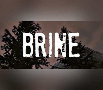 Brine PC Steam Ключ