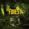 The Forest — Ключи активации