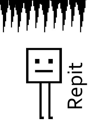 Repit Steam CD Key