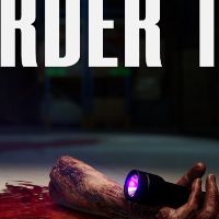 Order 13 PC Steam Аккаунт