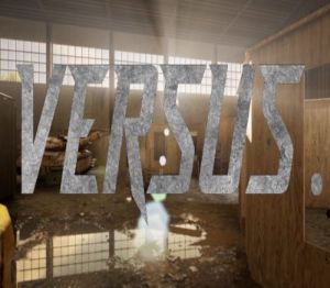 Versus. Steam CD Key