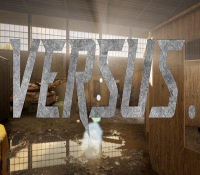 Versus. Steam Ключ