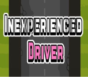 Inexperienced Driver Steam Ключ