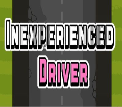 Inexperienced Driver Steam Ключ