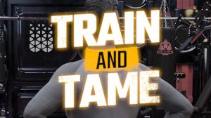 Train and Tame PC Steam Ключ