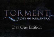 Torment: Tides of Numenera Day One издание Steam Ключ