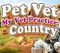 My Vet Practice: In the Country Steam Ключ