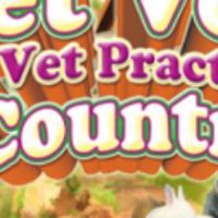 My Vet Practice: In the Country Steam Ключ