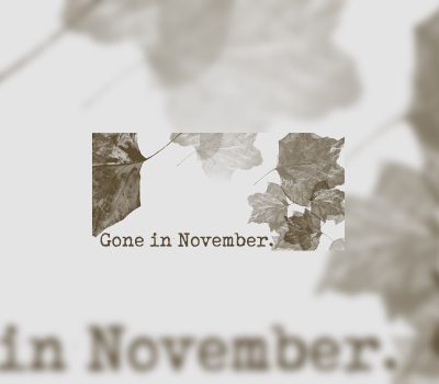 Gone In November Коллекционное издание Steam Ключ