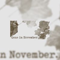 Gone In November Коллекционное издание Steam Ключ