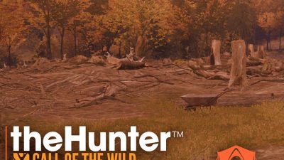 theHunter: Call of the Wild - Hunting Стартовый набор Набор PC Epic Games Аккаунт