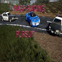 Nash Racing: Pursuit Steam Ключ