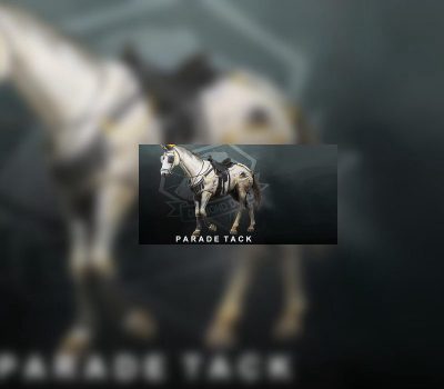 Metal Gear Solid V: The Phantom Pain - Parade Tack DLC Steam Ключ