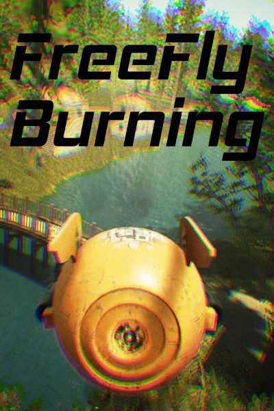 FreeFly Burning Steam CD Key