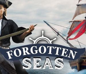 Forgotten Seas PC Steam Аккаунт