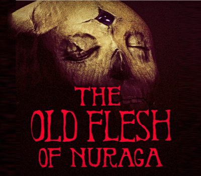 The Old Flesh Of Nuraga PC Steam Ключ
