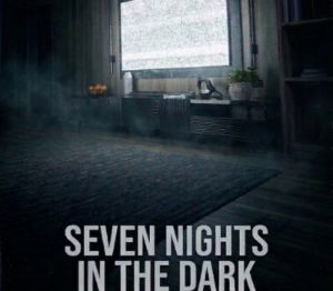 Seven Nights In The Dark PC Steam Ключ